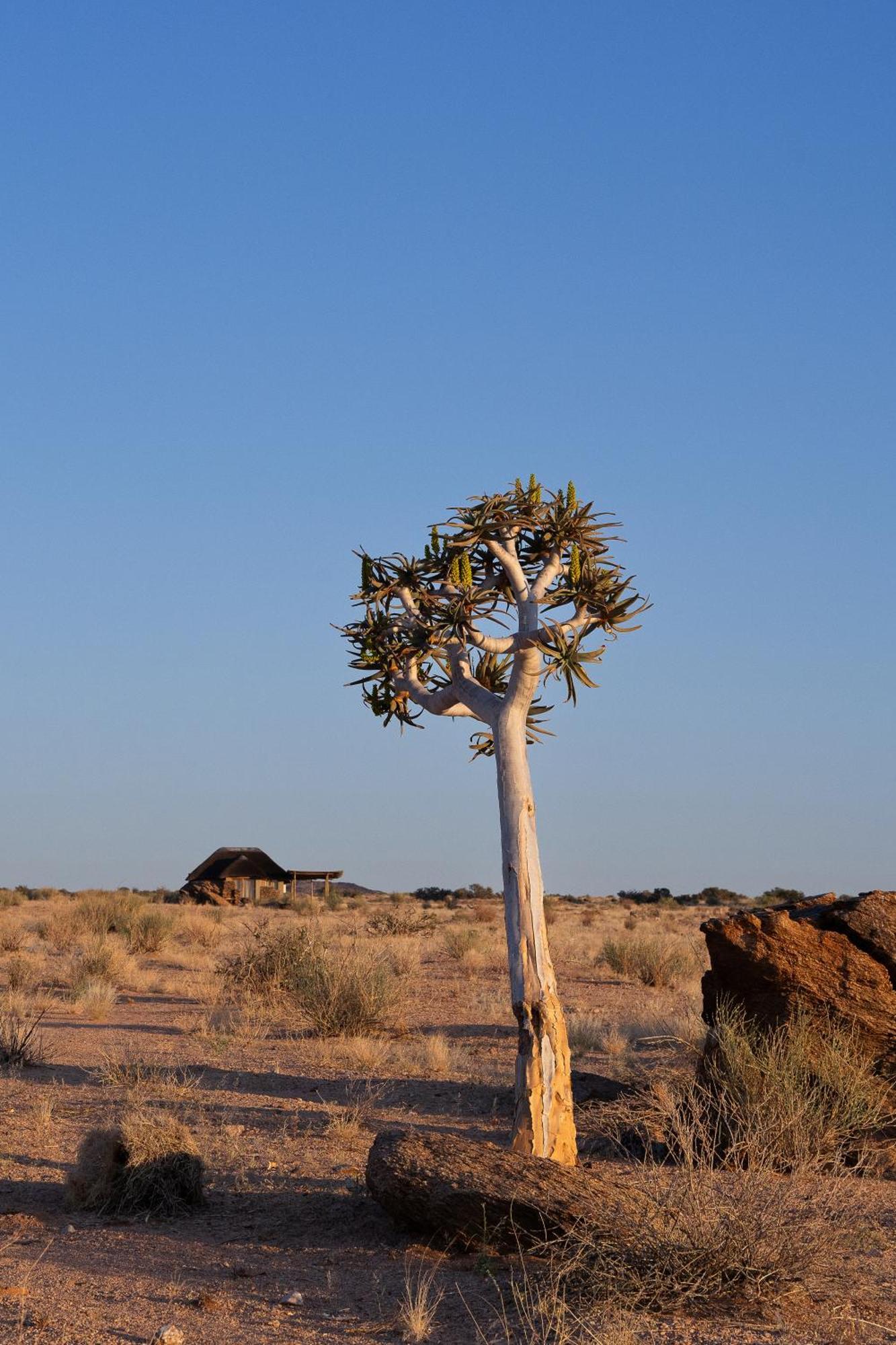 Sandfontein Lodge & Nature Reserve Dış mekan fotoğraf