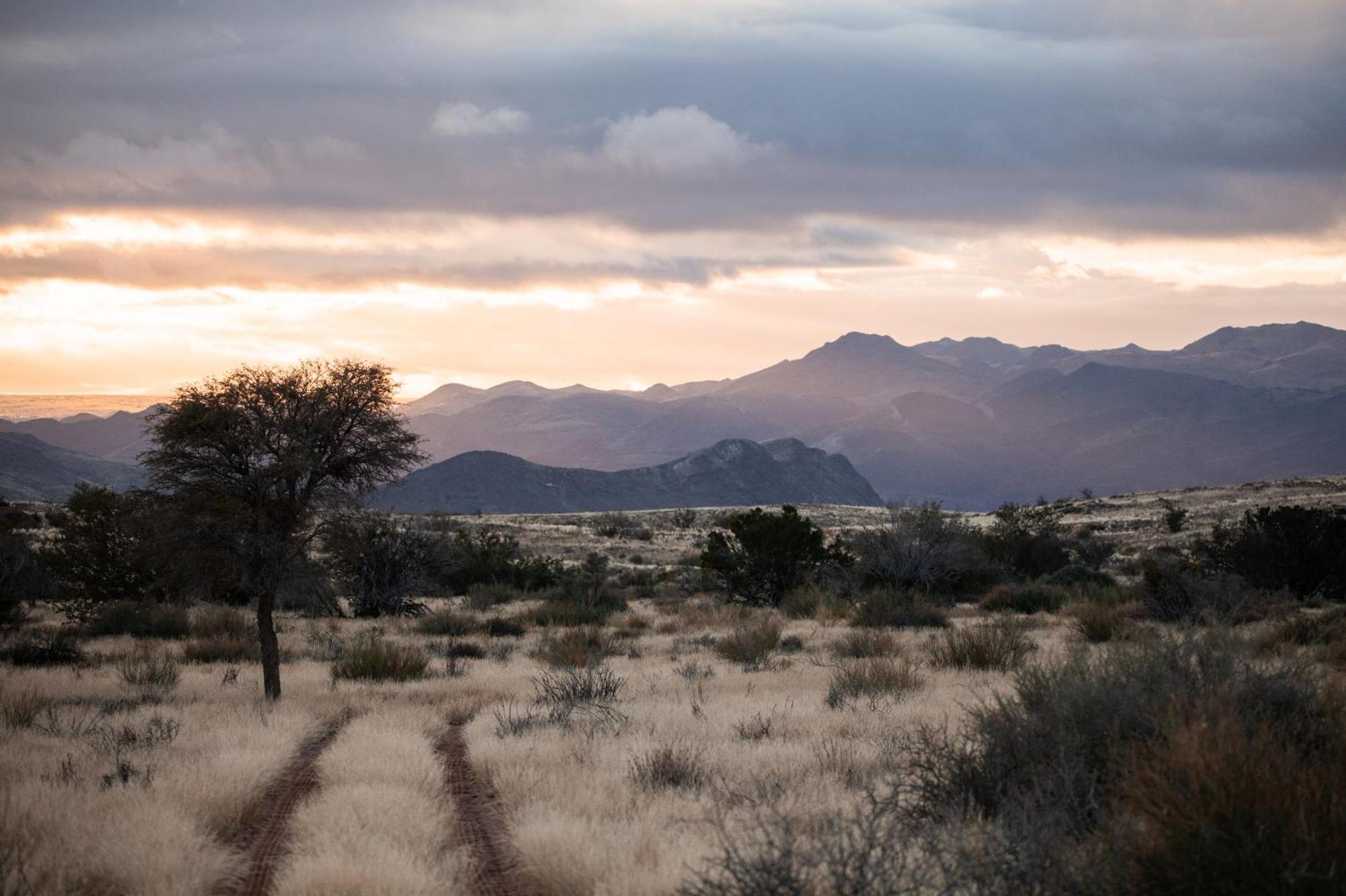 Sandfontein Lodge & Nature Reserve Dış mekan fotoğraf