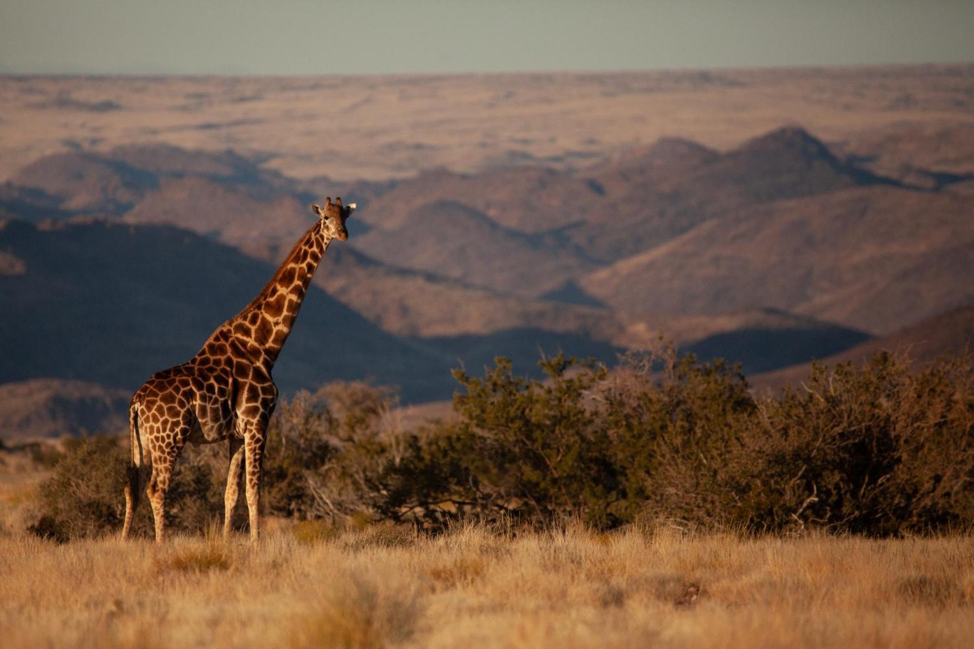 Sandfontein Lodge & Nature Reserve Dış mekan fotoğraf
