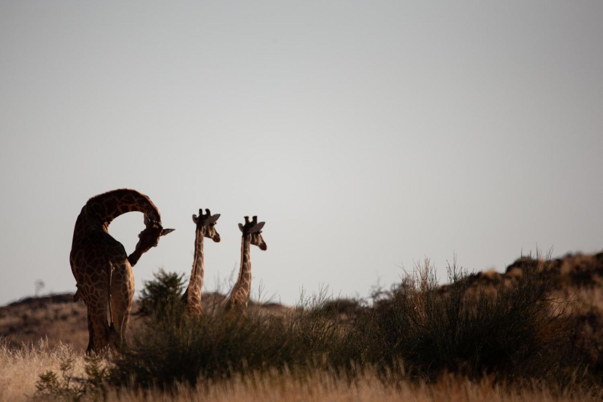 Sandfontein Lodge & Nature Reserve Dış mekan fotoğraf